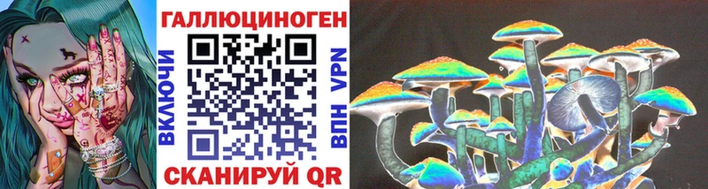 Галлюциногенные грибы Psilocybine cubensis  как найти   Великий Устюг 